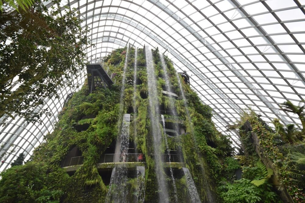 cloud forest waterfall