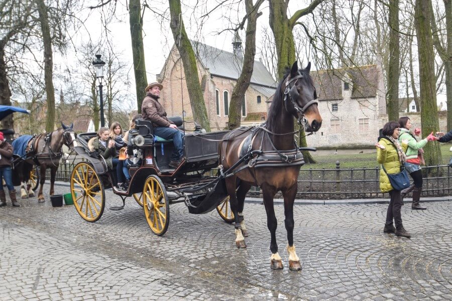 Bruges horse carriage ride