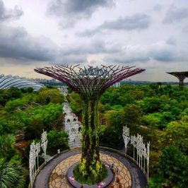 Singapore Best Garden - Gardens by the bay