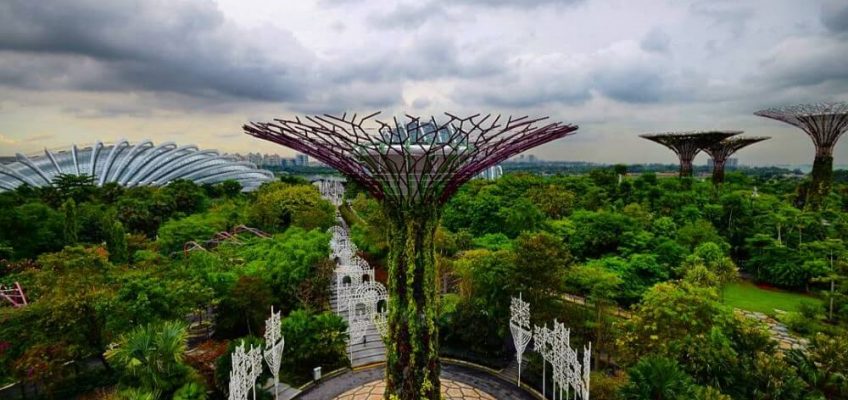 Singapore Best Garden - Gardens by the bay