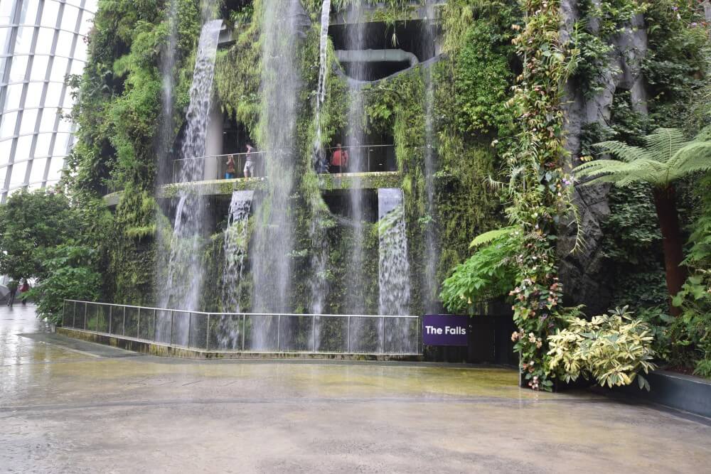 waterfall at cloud forest