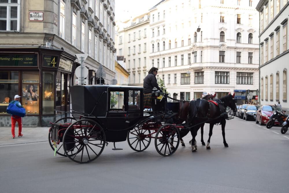 Transport in Vienna